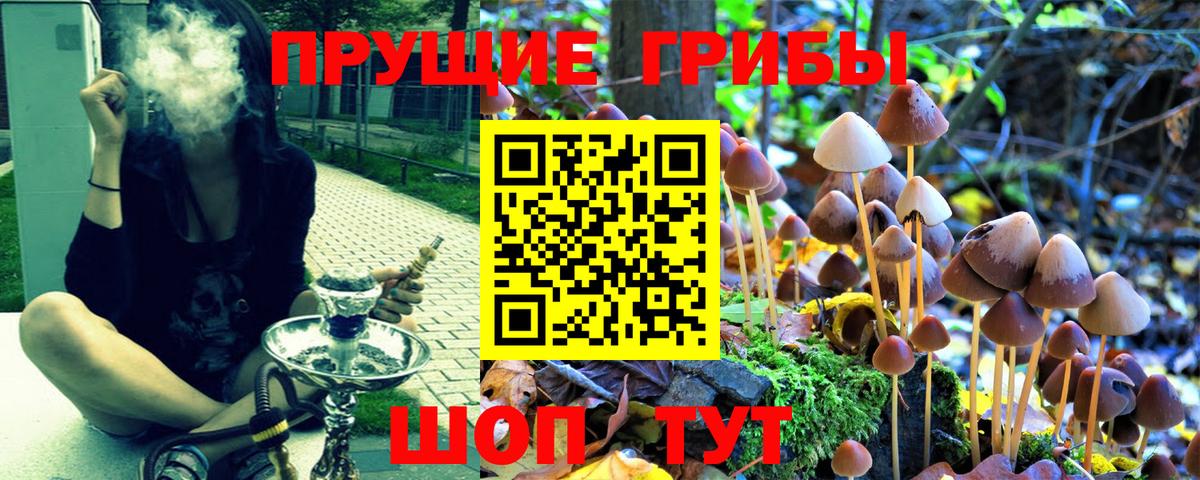 Майкоп  Галлюциногенные грибы мицелий  Вход с VPN 